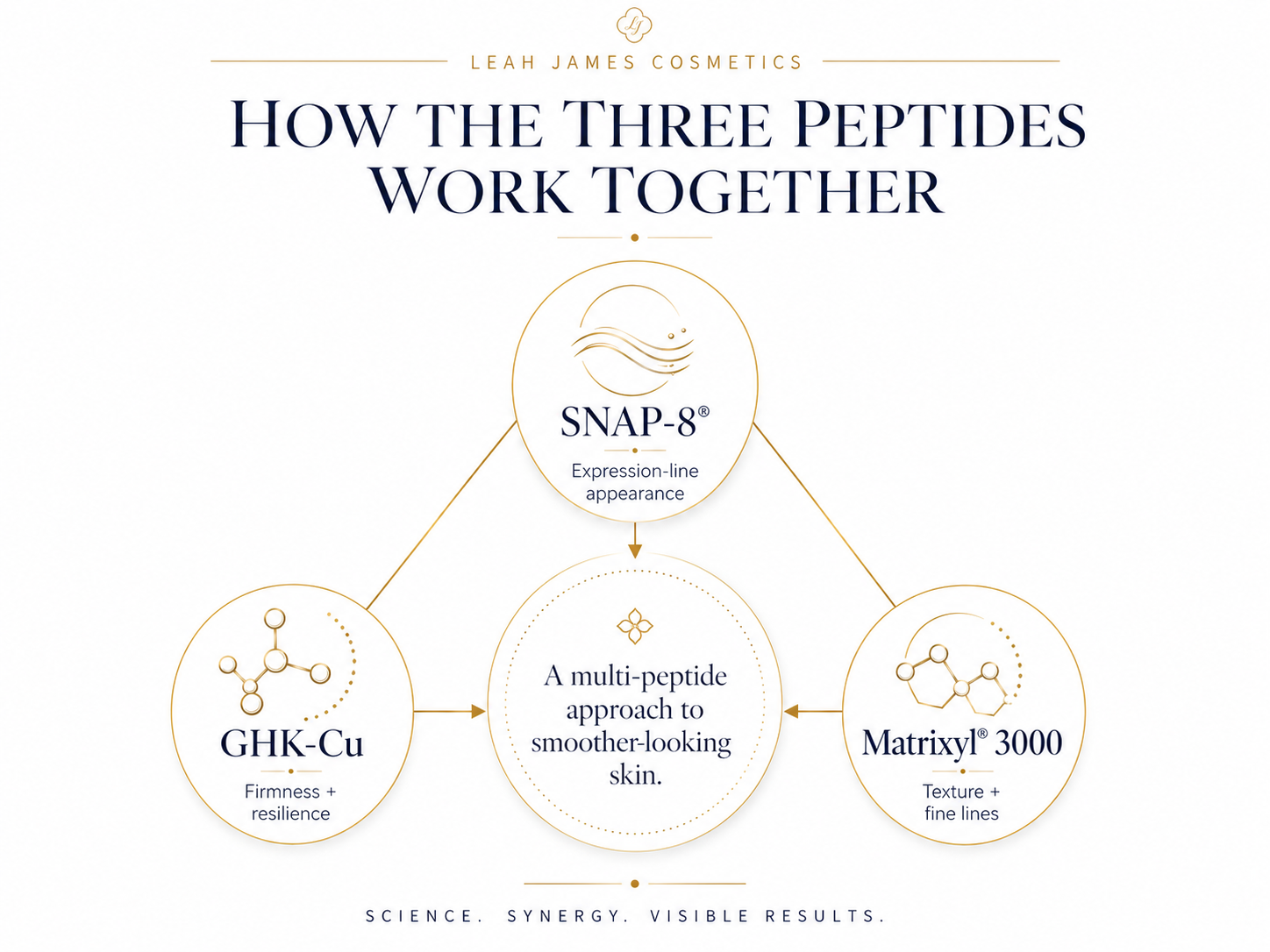 How the Three Peptides Work Together — SNAP-8, GHK-Cu, Matrixyl 3000 synergy diagram